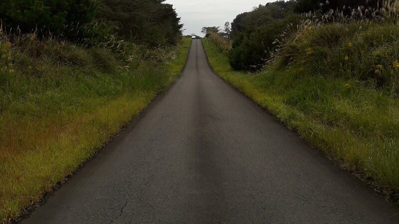 Nine Strategies for Addressing the Loneliness Epidemic in the Trucking Industry